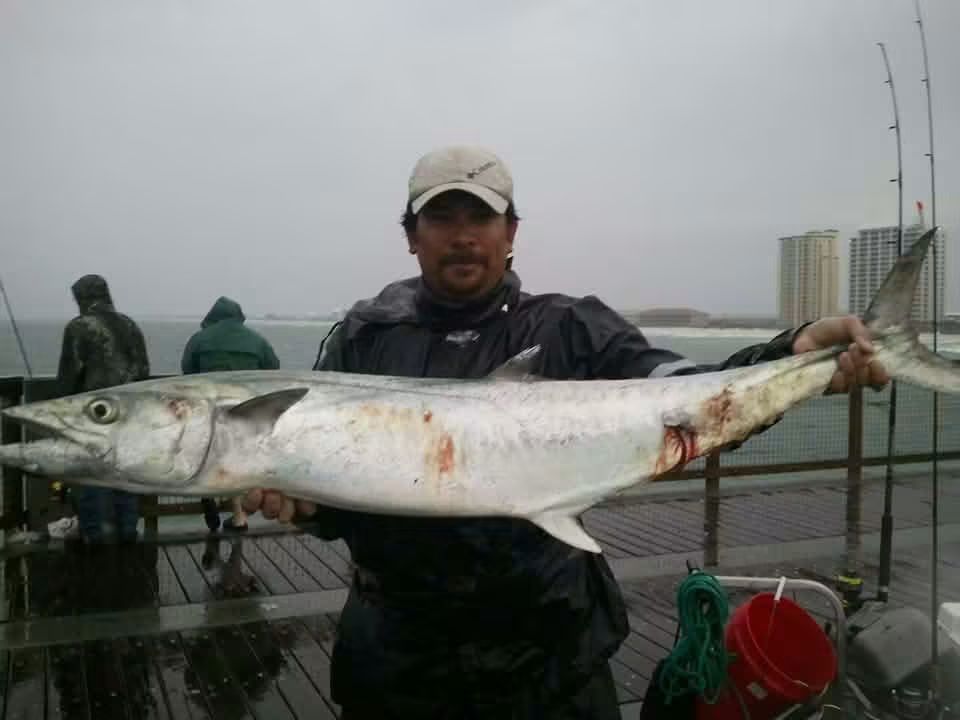 King Mackerel Gulf Coast community catch